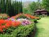 Lanna Resort 